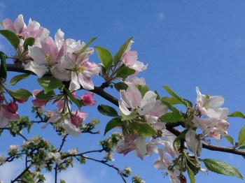sieht nach Frühling aus, für ein paar Minuten