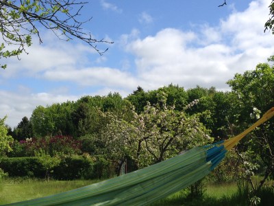 es grünt so grün...