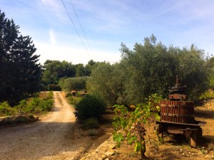 France maison Auffahrt