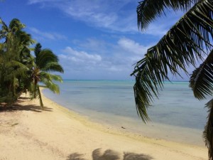 CI Blick von Terrasse