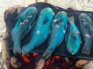 CI Parrotfish gegrillt